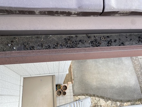 太陽光パネル　フン被害　鳥の巣